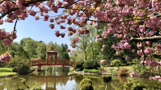 Parc floral d’Apremont sur Allier